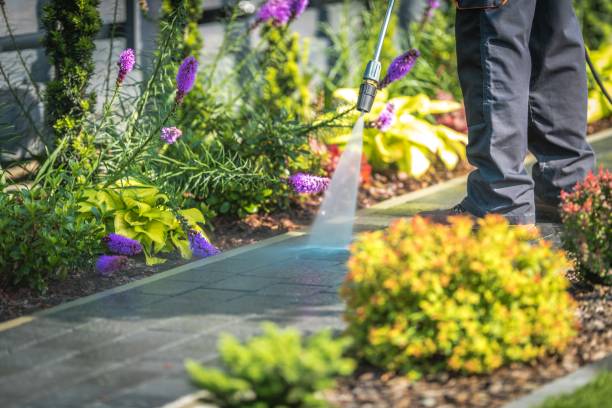 Best Post-Construction Pressure Washing  in Biscayne Park, FL